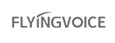Flyingvoice